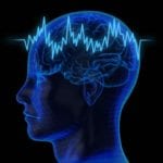 Brain showing brainwaves The human brain
