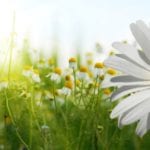 image from istockphoto