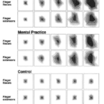 piano study brain scans