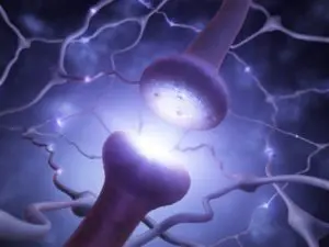 neuron firing