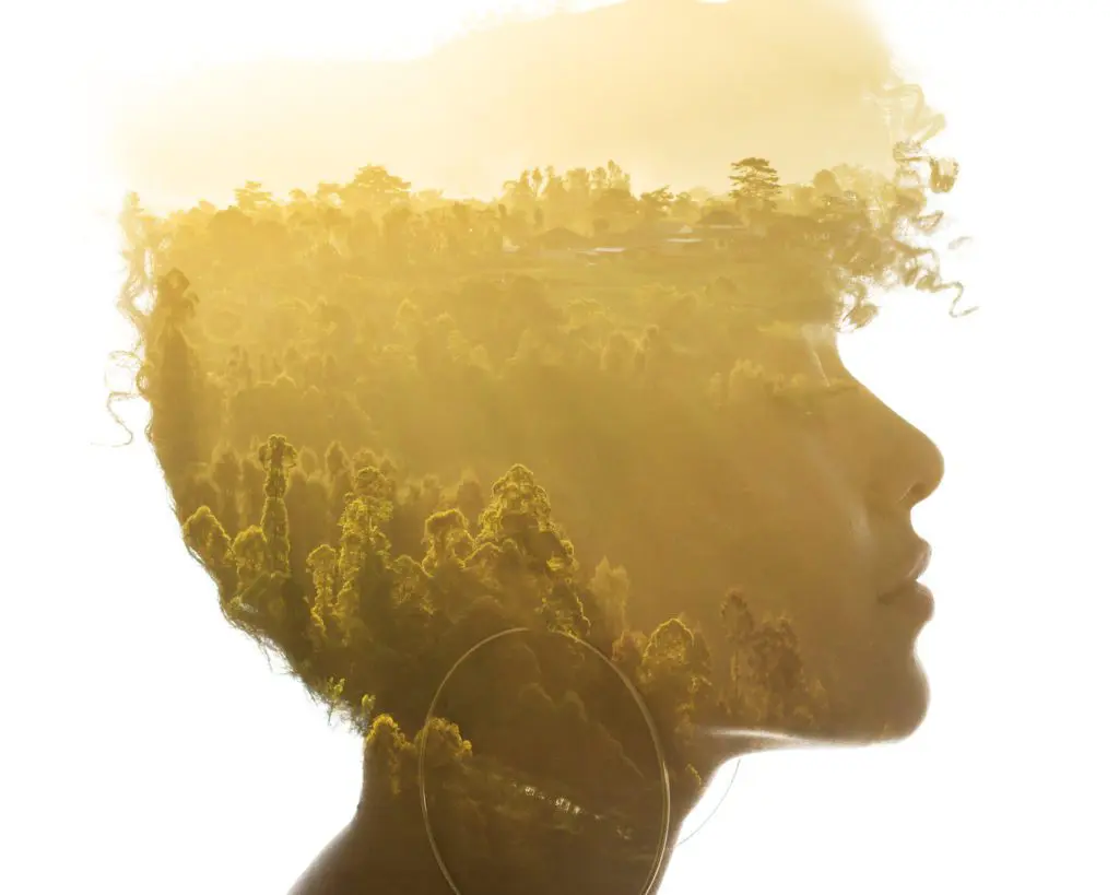 Image of girl's head with woodland superimposed over it.