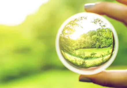Looking through a lens at a blurred green image and seeing detail of lovely green grass and trees.