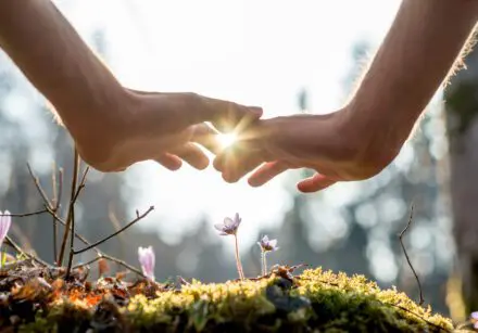 Close up Bare Hand of a Man Covering Small Flowers at the Garden with Sunlight Between Fingers.