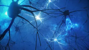 3D image of neurons and synapses with some neurons lit up. The background is blue, like the neurons are in the sky. Some neurons are dark blue and those lit up are lit in white.