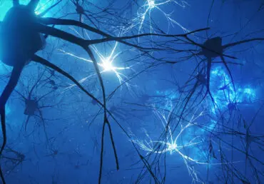 3D image of neurons and synapses with some neurons lit up. The background is blue, like the neurons are in the sky. Some neurons are dark blue and those lit up are lit in white.