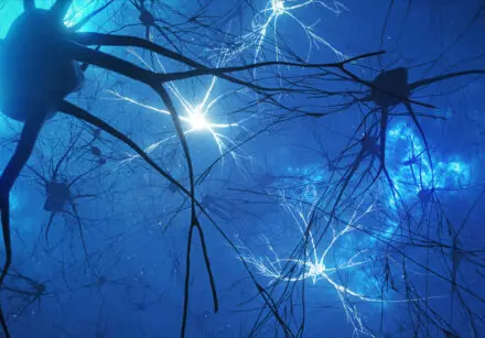 3D image of neurons and synapses with some neurons lit up. The background is blue, like the neurons are in the sky. Some neurons are dark blue and those lit up are lit in white.