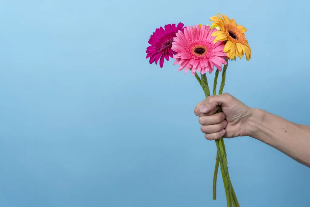 A hand outstretched holding three gerbera flowers - one yellow, one light pink and one a darker shade of pink. It's against a pastel blue background.