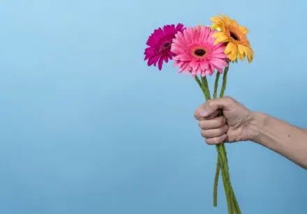 A hand outstretched holding three gerbera flowers - one yellow, one light pink and one a darker shade of pink. It's against a pastel blue background.