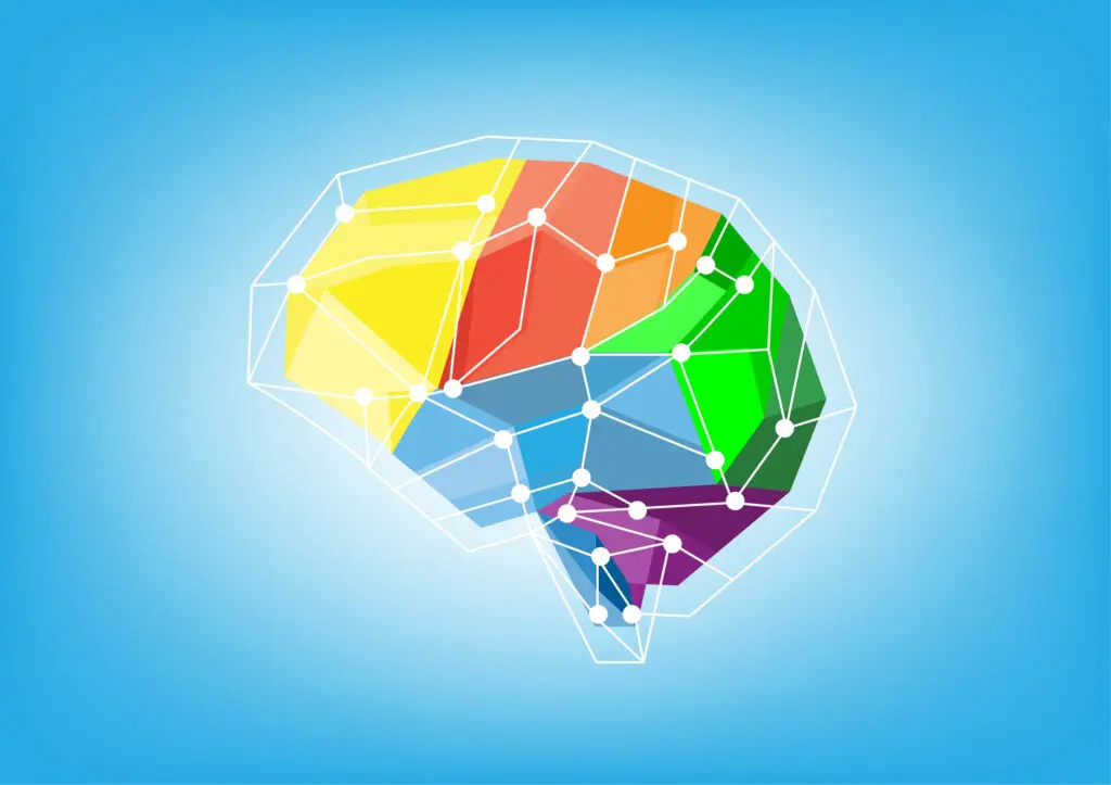 Illustration showing what your brain stops letting you see through habituation. Brain made of coloured blocks representing different regions. Hello, red, orange, green, blue, and purple. There's a grid surrounding it.