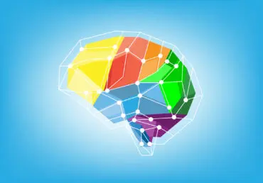 Illustration showing what your brain stops letting you see through habituation. Brain made of coloured blocks representing different regions. Hello, red, orange, green, blue, and purple. There's a grid surrounding it.