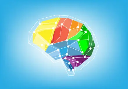Illustration showing what your brain stops letting you see through habituation. Brain made of coloured blocks representing different regions. Hello, red, orange, green, blue, and purple. There's a grid surrounding it.