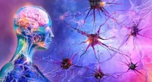 Diagram showing action observation in the brain. Colourful image of neurons in the brain and a transparent robotic image of a person's head, where we can see the brain and wires inside. The image is brightly lit with blues, pinks, and purples.