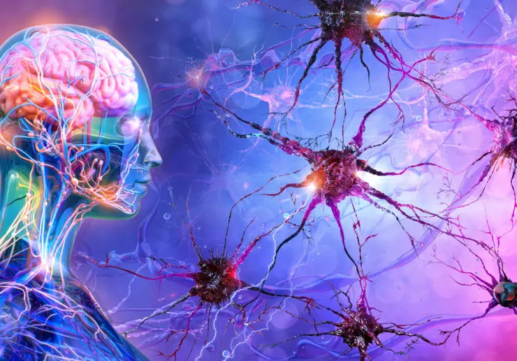 Diagram showing action observation in the brain. Colourful image of neurons in the brain and a transparent robotic image of a person's head, where we can see the brain and wires inside. The image is brightly lit with blues, pinks, and purples.
