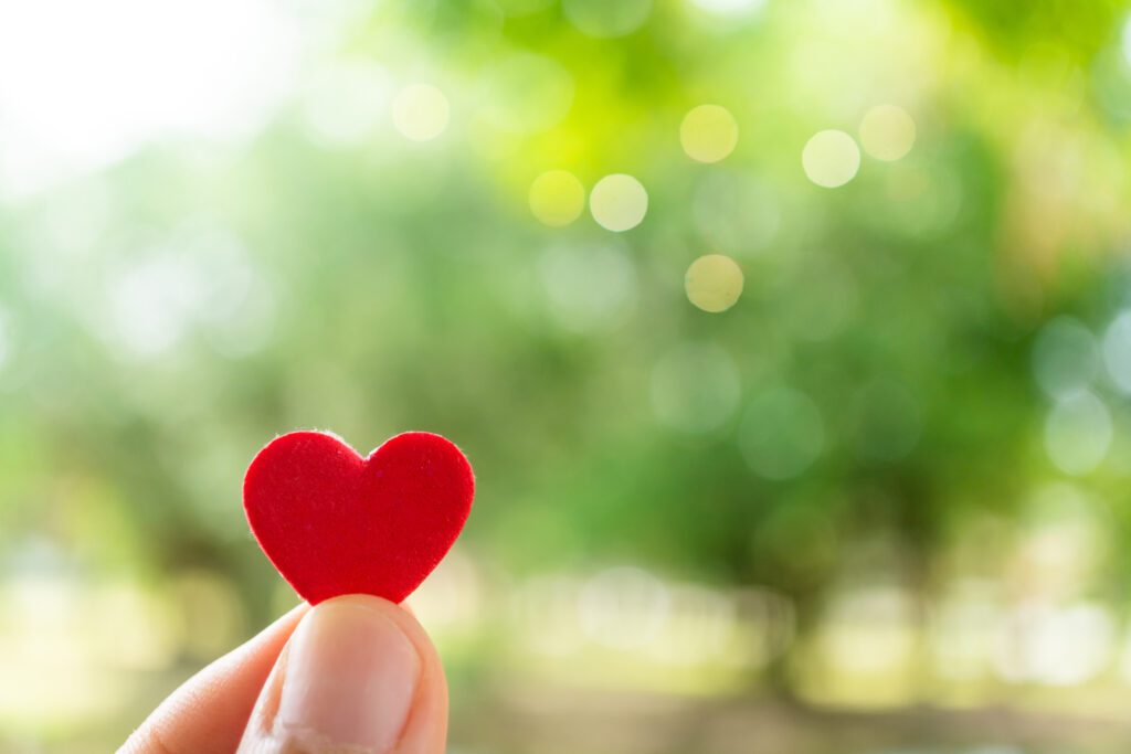 Hand hold little heart meaning feel love with green nature bokeh background.